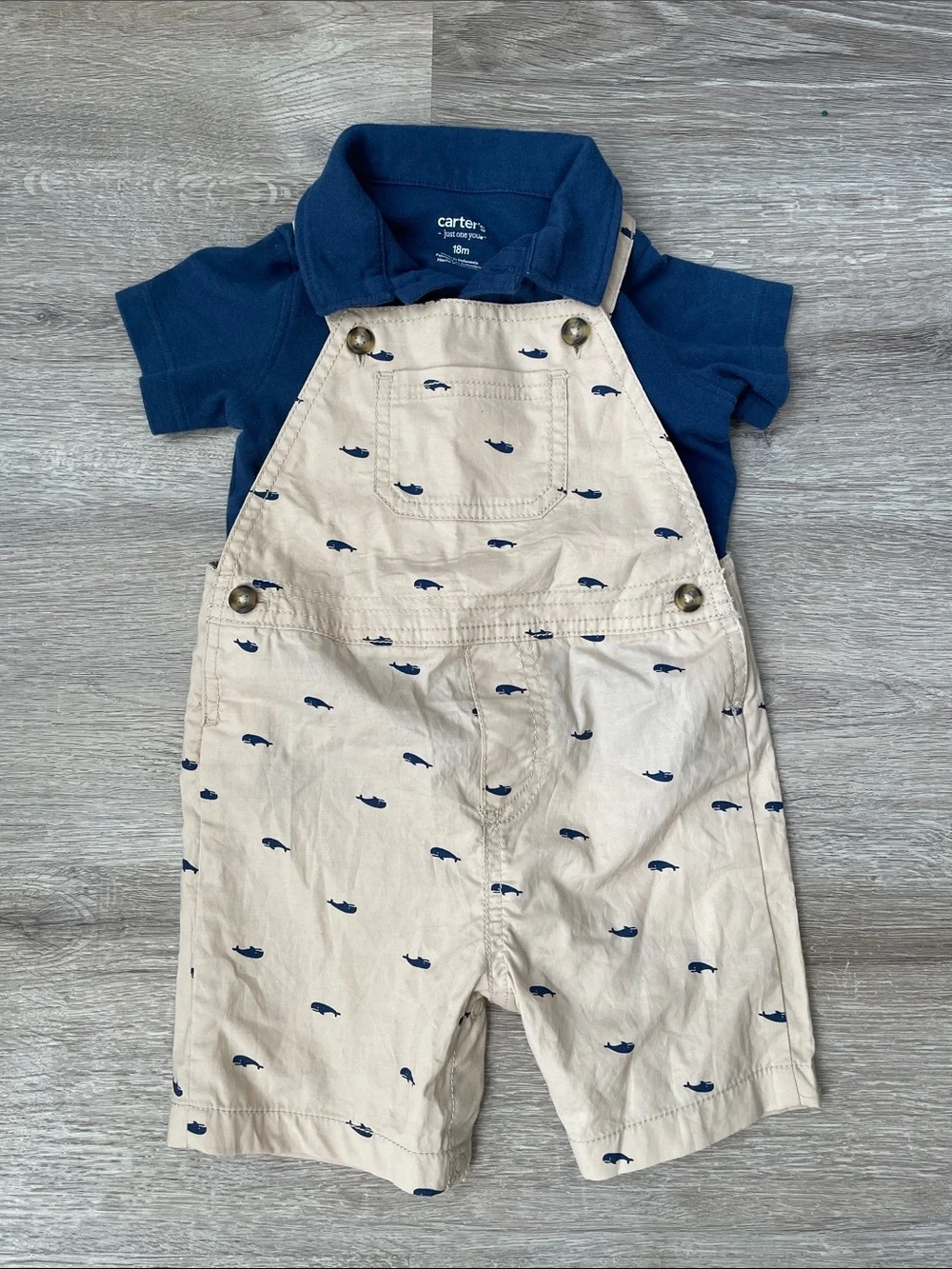Carter’s 18 months set polo and overalls